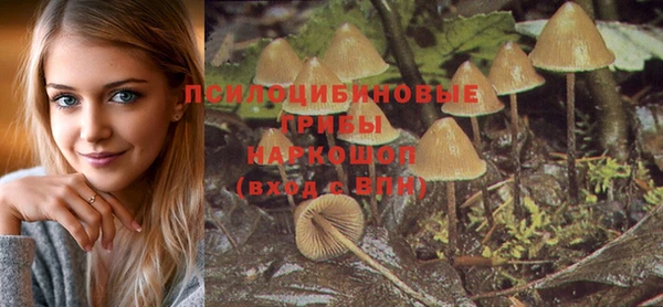 прущие крисы Алексеевка