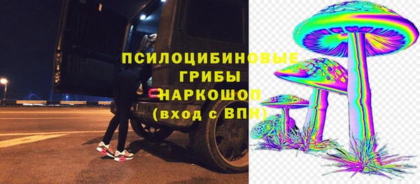 a pvp Алексин